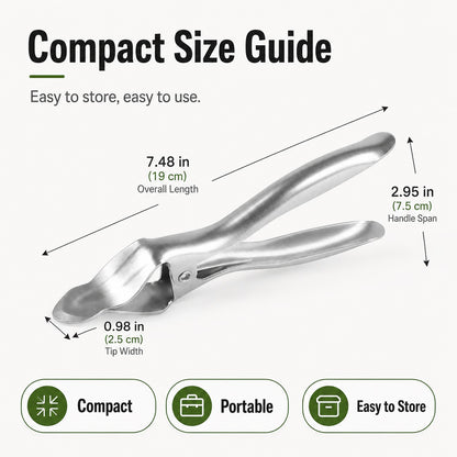 Stainless Steel Durian Opener – Open Tough Shells With Ease